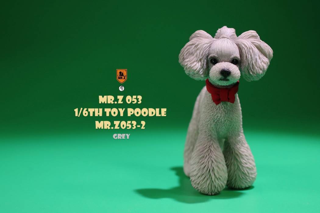 Animal Model NO. 53 ,Toy Poodle