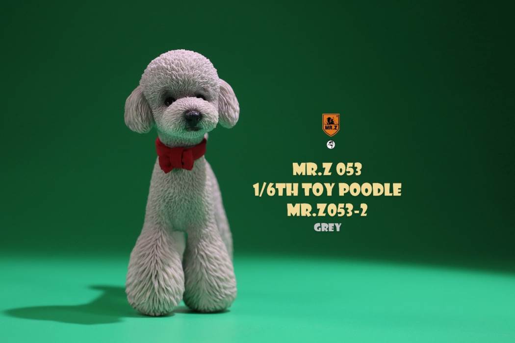 Animal Model NO. 53 ,Toy Poodle