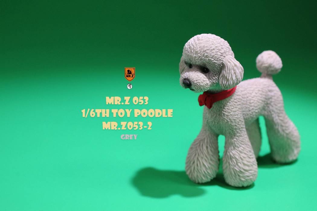 Animal Model NO. 53 ,Toy Poodle