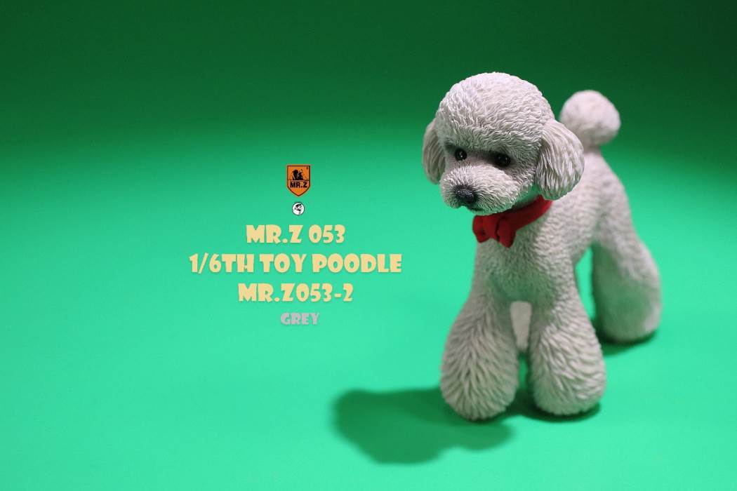 Animal Model NO. 53 ,Toy Poodle