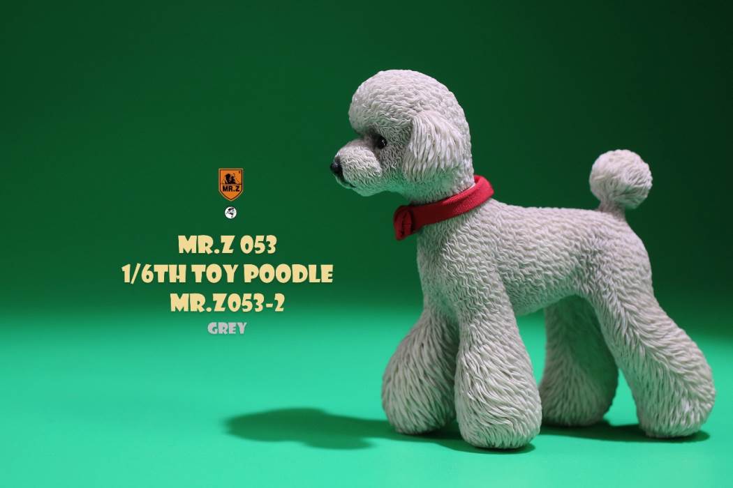 Animal Model NO. 53 ,Toy Poodle