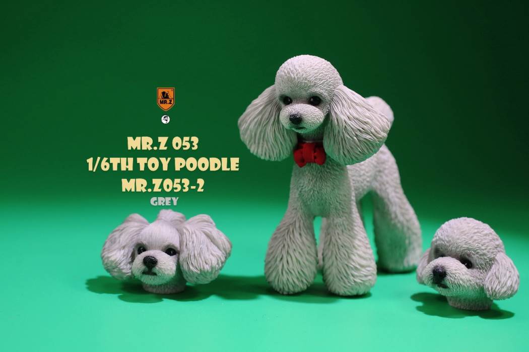 Animal Model NO. 53 ,Toy Poodle