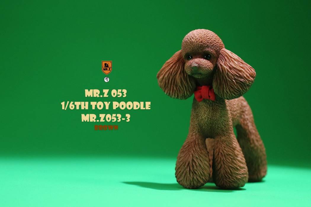 Animal Model NO. 53 ,Toy Poodle