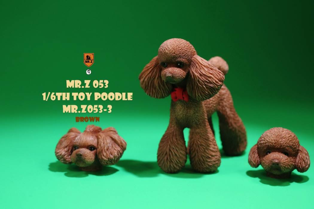 Animal Model NO. 53 ,Toy Poodle