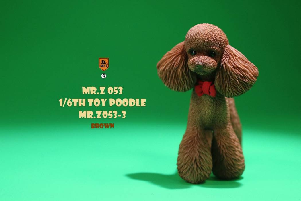 Animal Model NO. 53 ,Toy Poodle