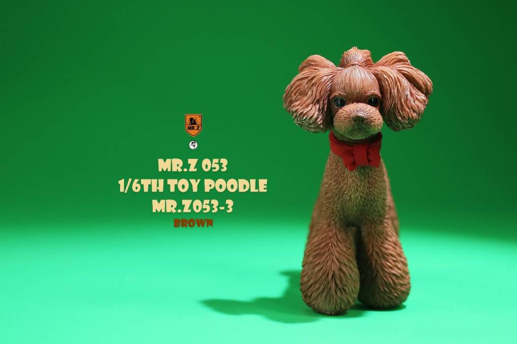 Animal Model NO. 53 ,Toy Poodle