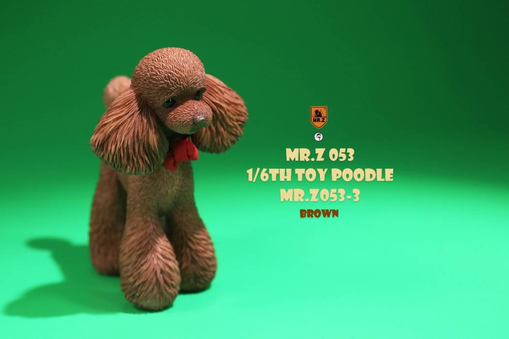 Animal Model NO. 53 ,Toy Poodle