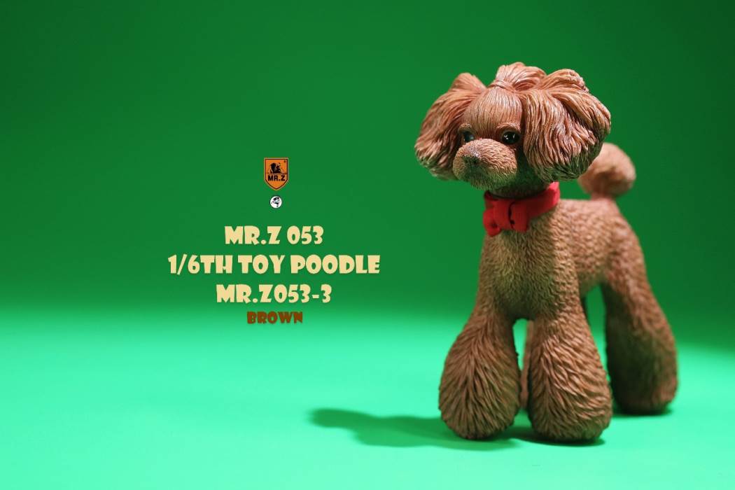 Animal Model NO. 53 ,Toy Poodle