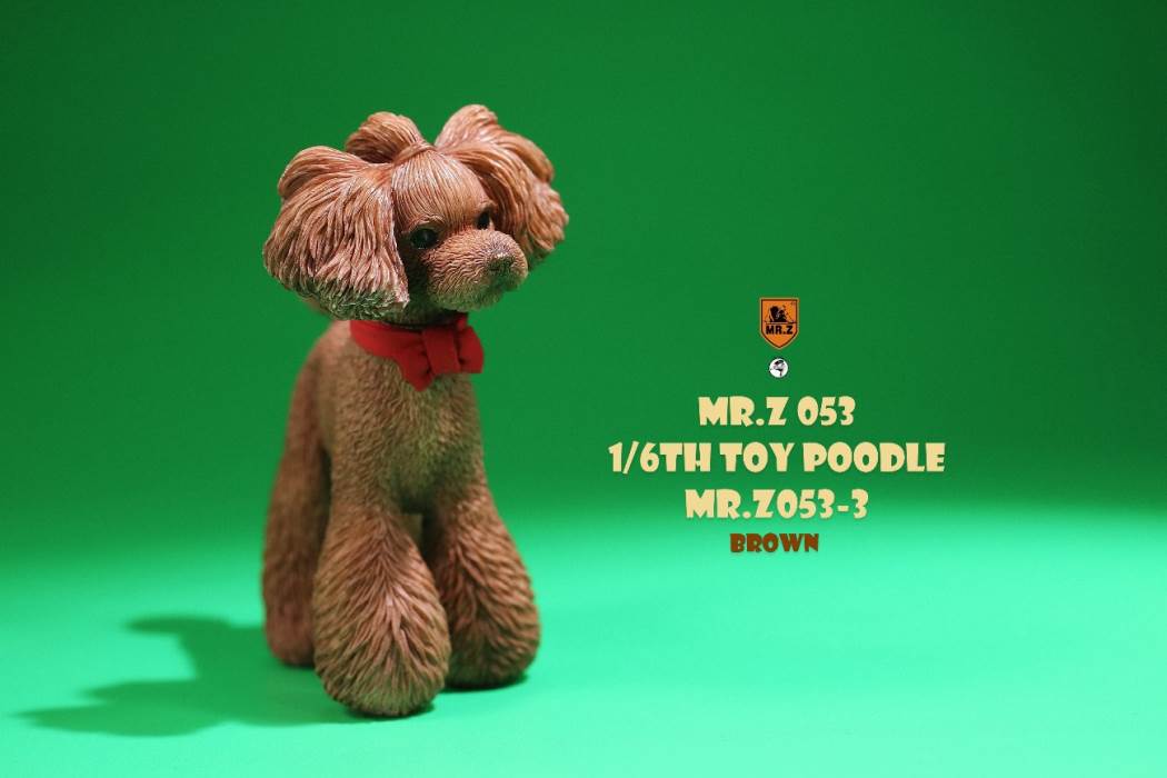 Animal Model NO. 53 ,Toy Poodle