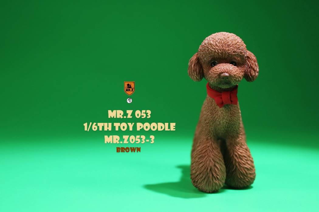 Animal Model NO. 53 ,Toy Poodle