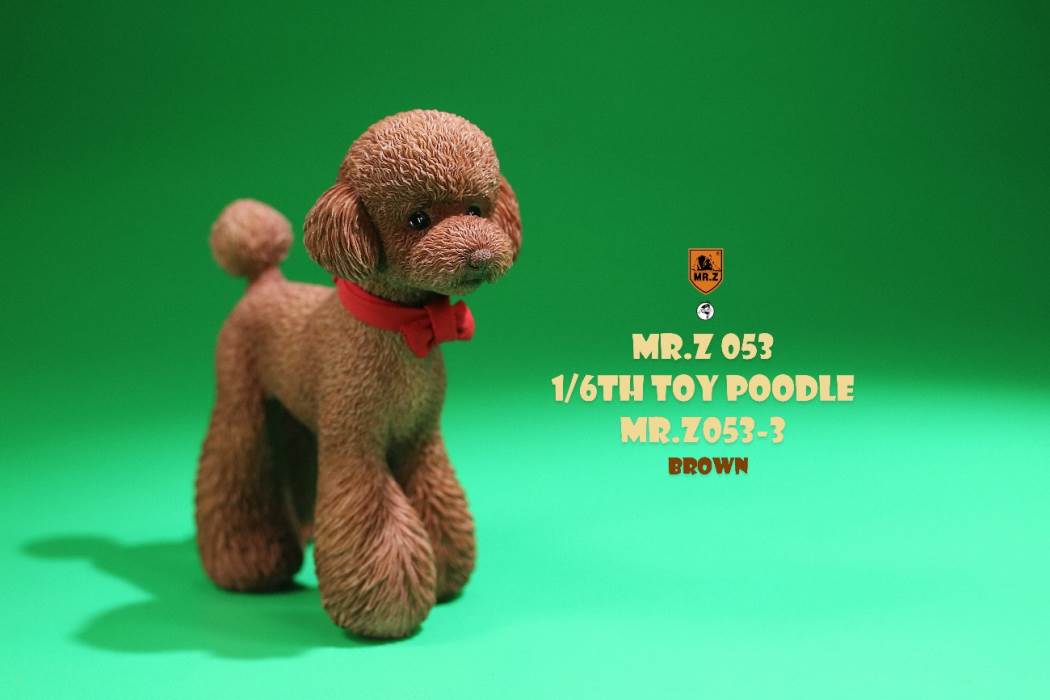 Animal Model NO. 53 ,Toy Poodle