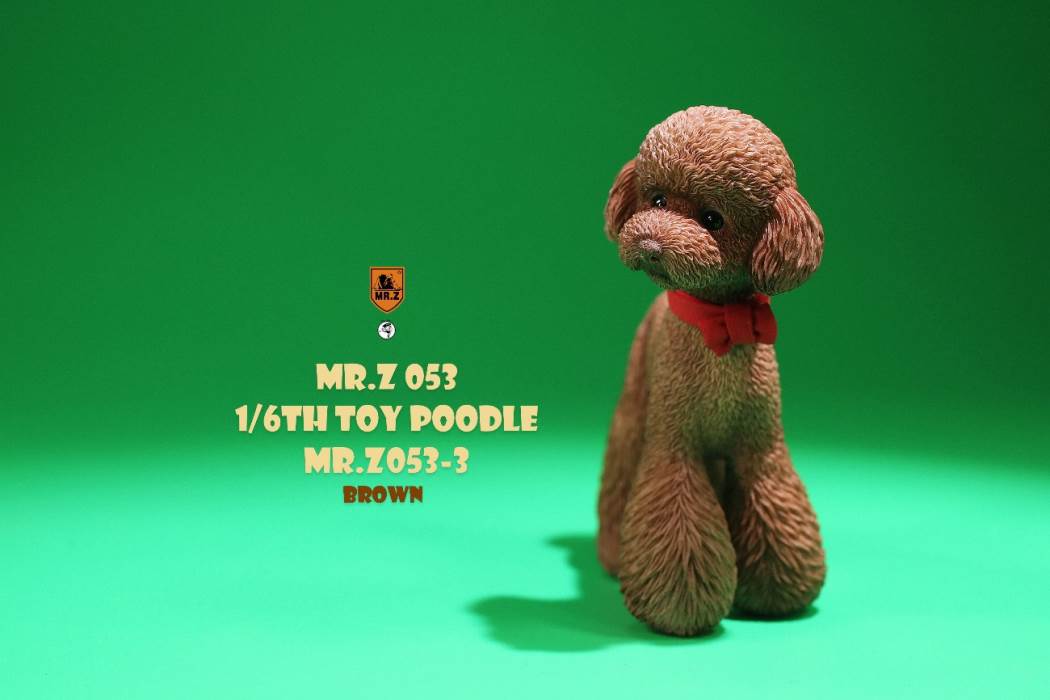 Animal Model NO. 53 ,Toy Poodle
