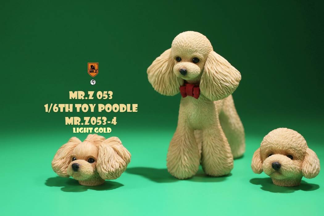 Animal Model NO. 53 ,Toy Poodle