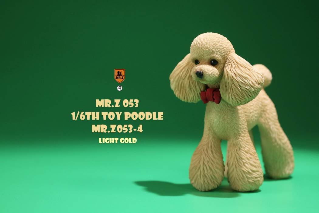 Animal Model NO. 53 ,Toy Poodle
