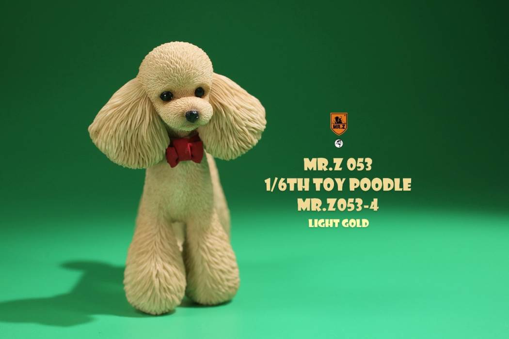 Animal Model NO. 53 ,Toy Poodle