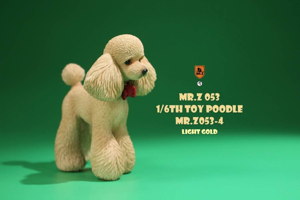 Animal Model NO. 53 ,Toy Poodle