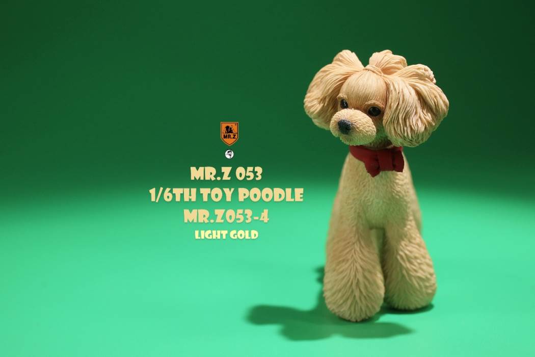 Animal Model NO. 53 ,Toy Poodle