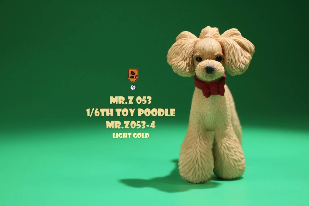 Animal Model NO. 53 ,Toy Poodle