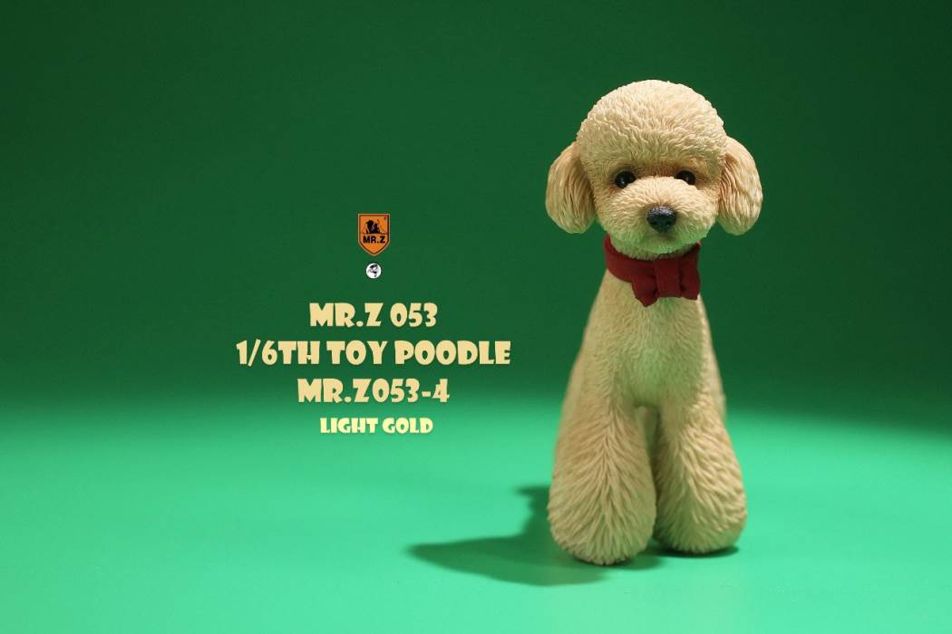 Animal Model NO. 53 ,Toy Poodle