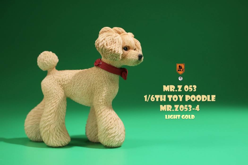 Animal Model NO. 53 ,Toy Poodle
