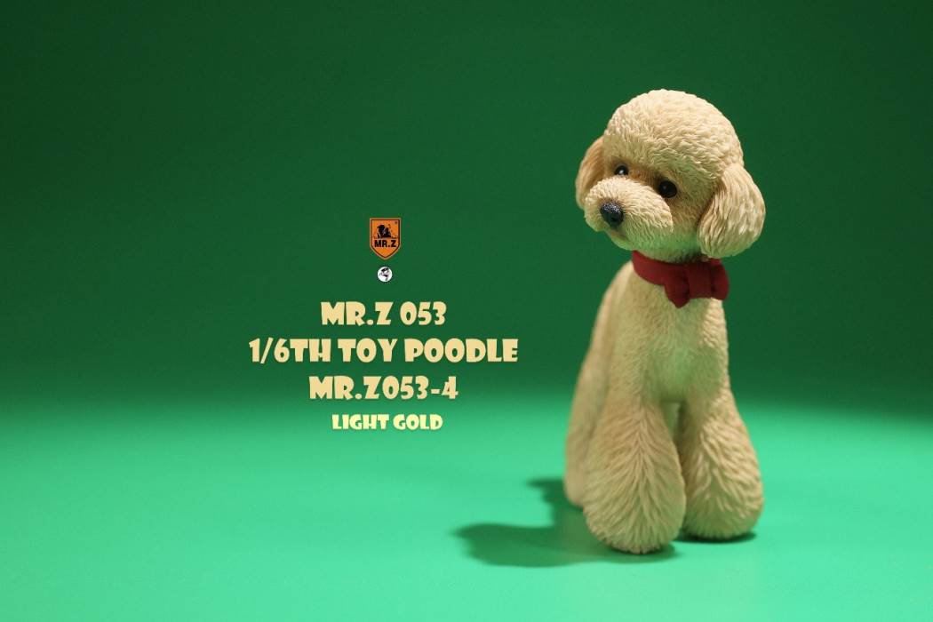 Animal Model NO. 53 ,Toy Poodle