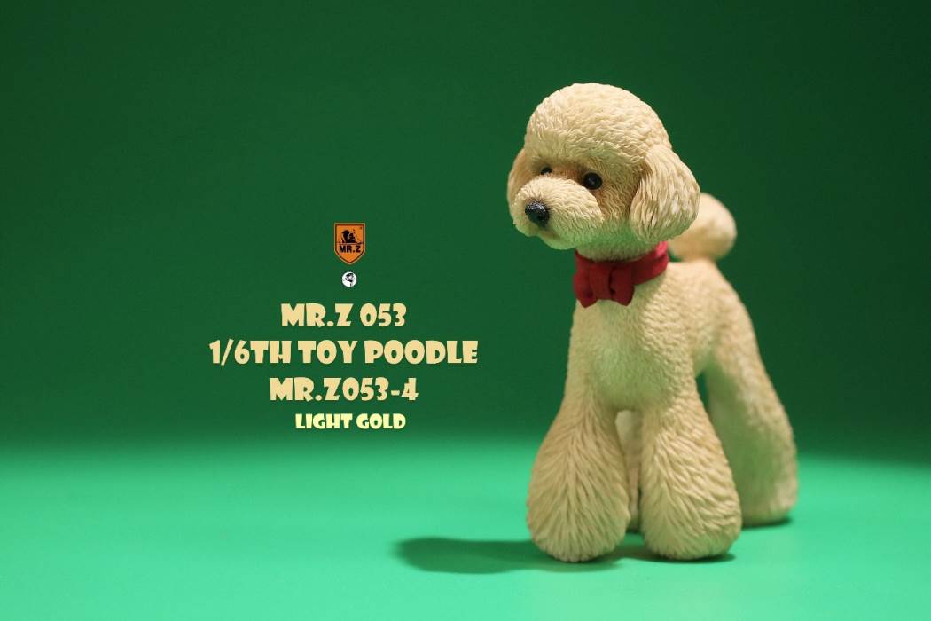 Animal Model NO. 53 ,Toy Poodle