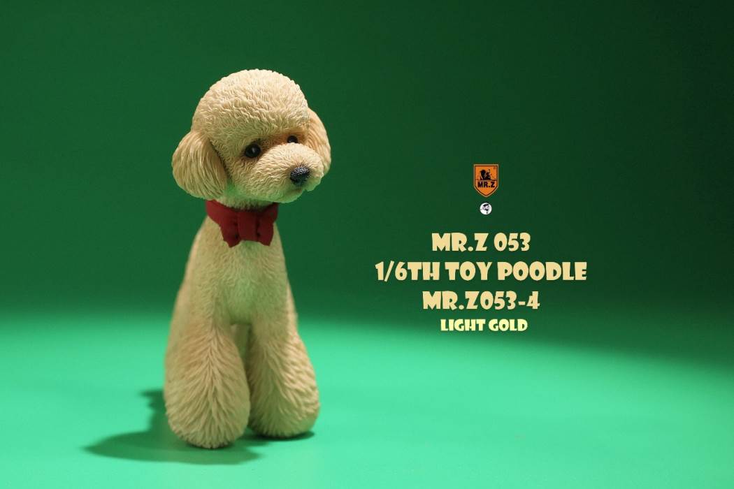 Animal Model NO. 53 ,Toy Poodle