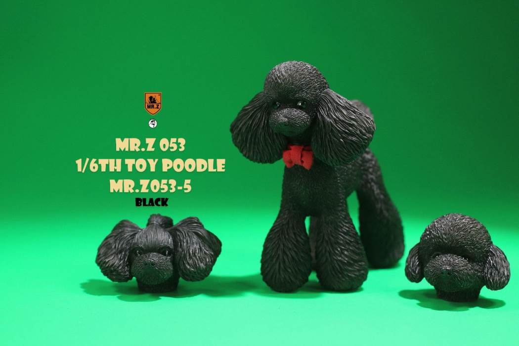Animal Model NO. 53 ,Toy Poodle