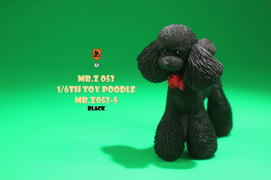 Animal Model NO. 53 ,Toy Poodle