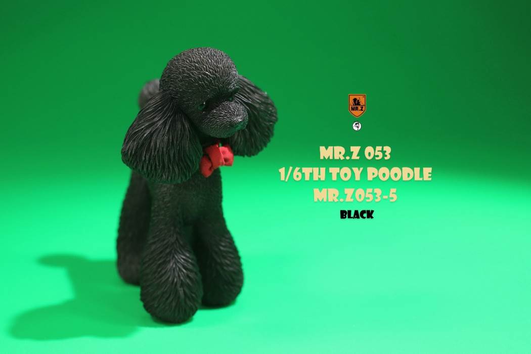 Animal Model NO. 53 ,Toy Poodle