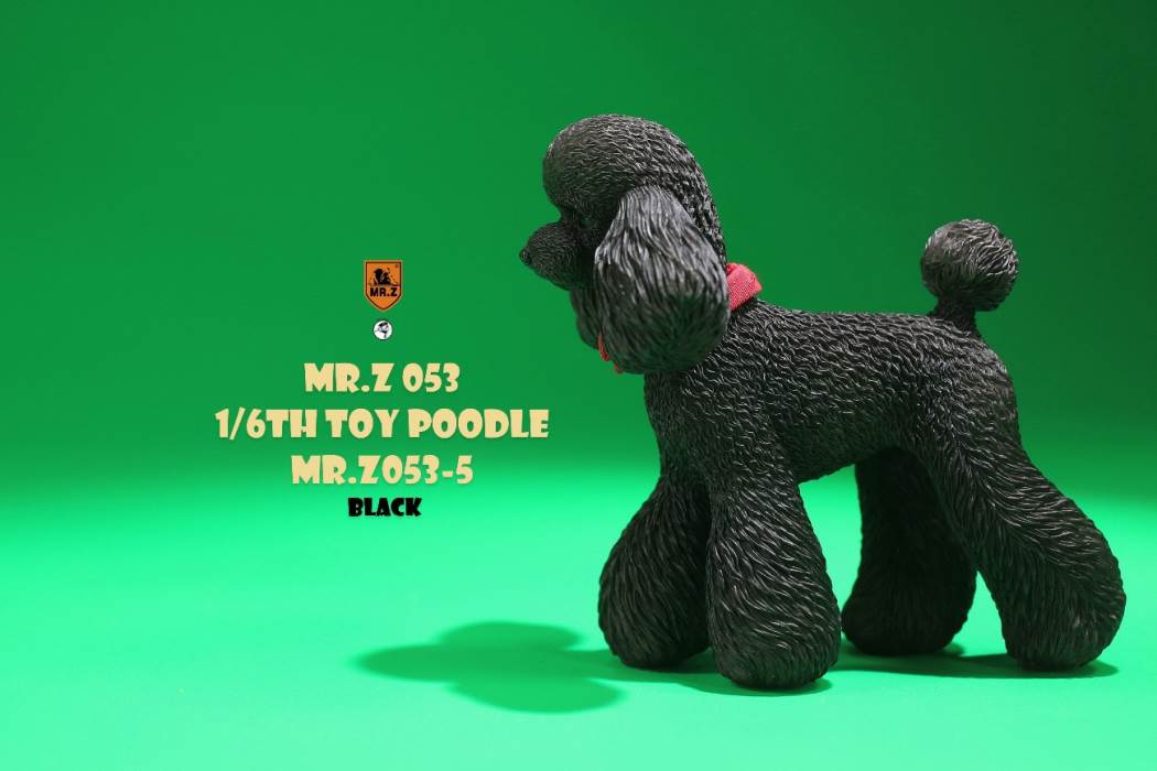 Animal Model NO. 53 ,Toy Poodle