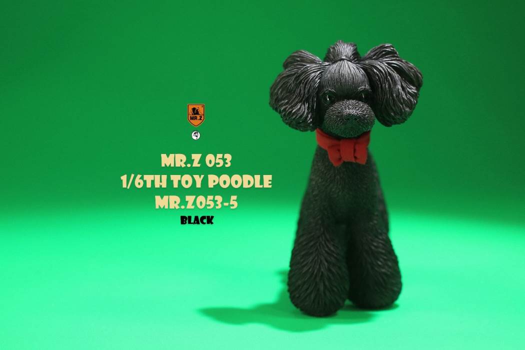 Animal Model NO. 53 ,Toy Poodle