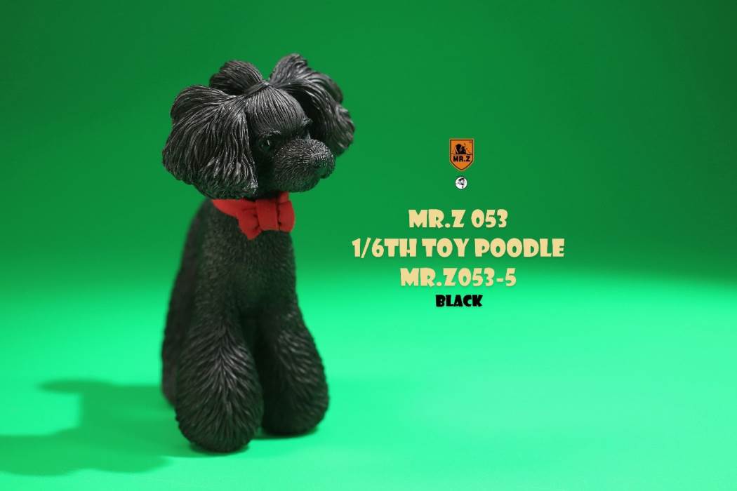Animal Model NO. 53 ,Toy Poodle