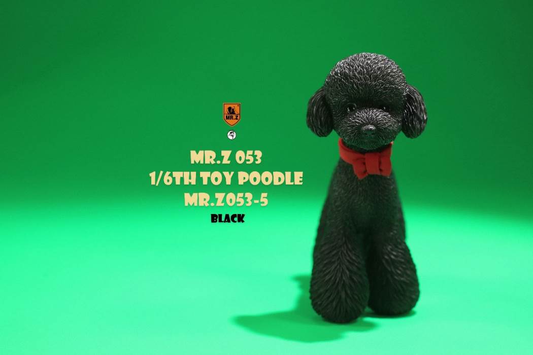 Animal Model NO. 53 ,Toy Poodle