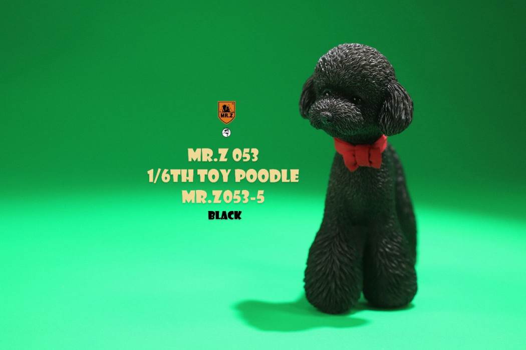 Animal Model NO. 53 ,Toy Poodle