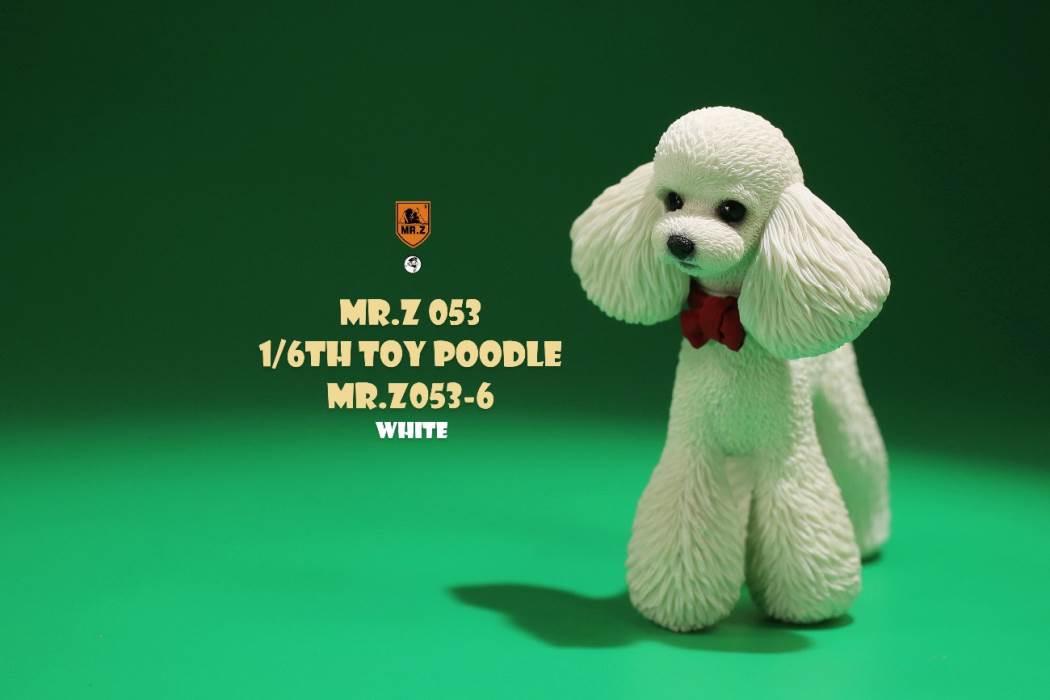 Animal Model NO. 53 ,Toy Poodle