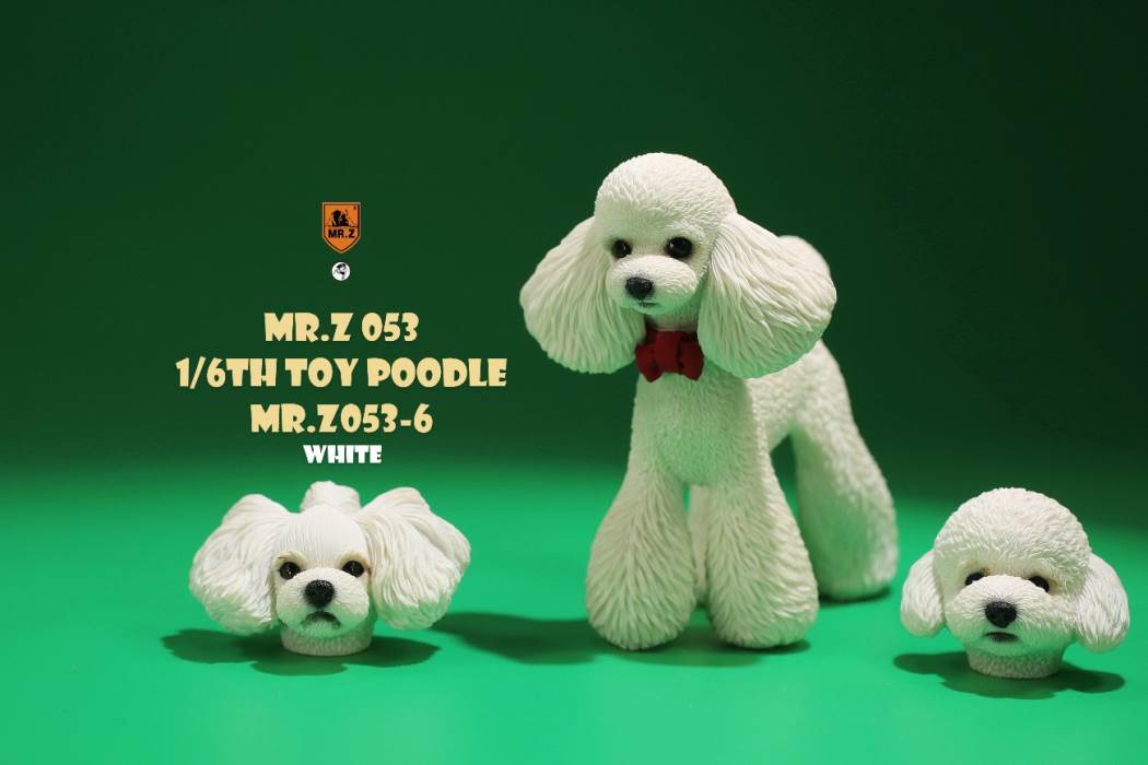 Animal Model NO. 53 ,Toy Poodle