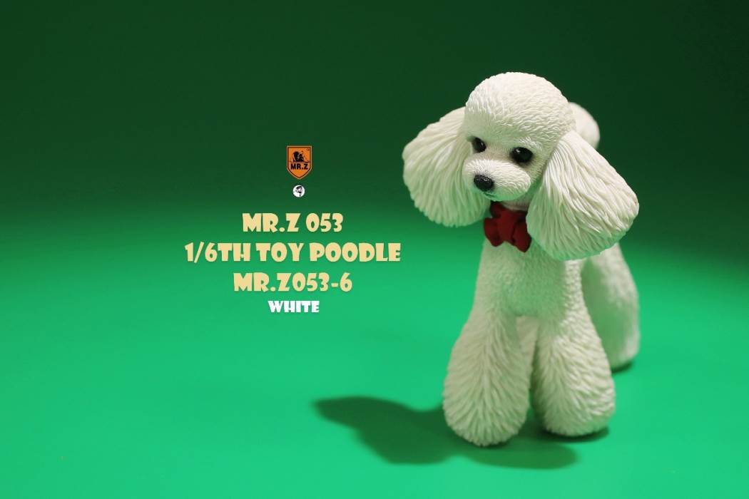 Animal Model NO. 53 ,Toy Poodle