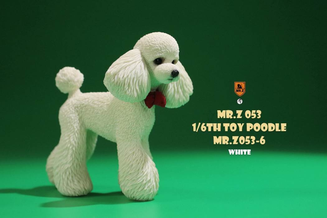 Animal Model NO. 53 ,Toy Poodle