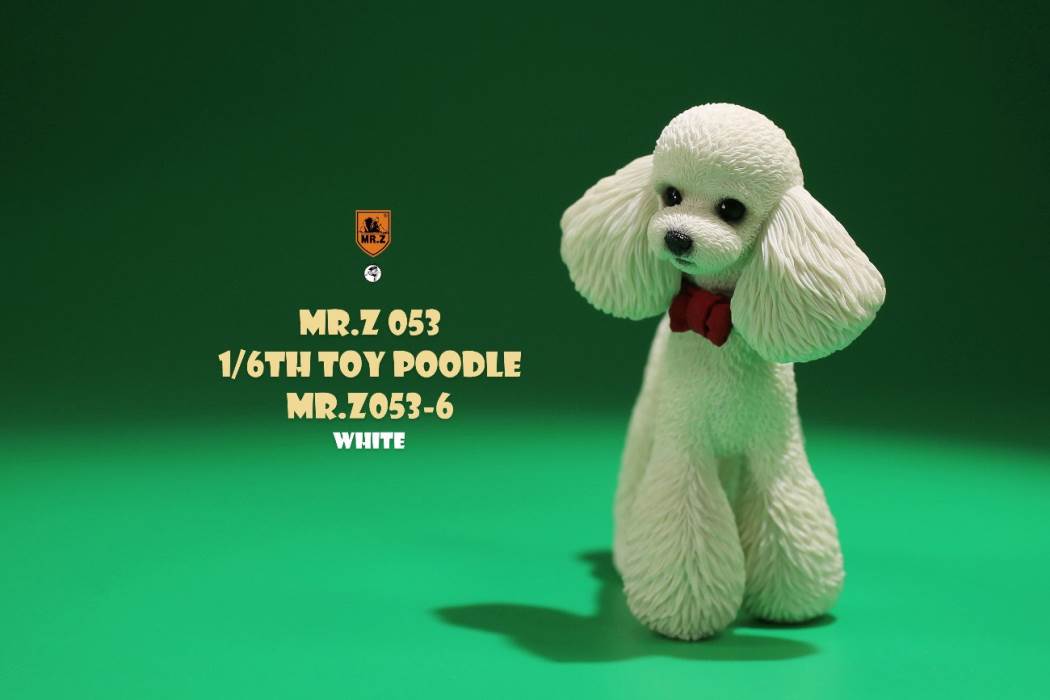 Animal Model NO. 53 ,Toy Poodle
