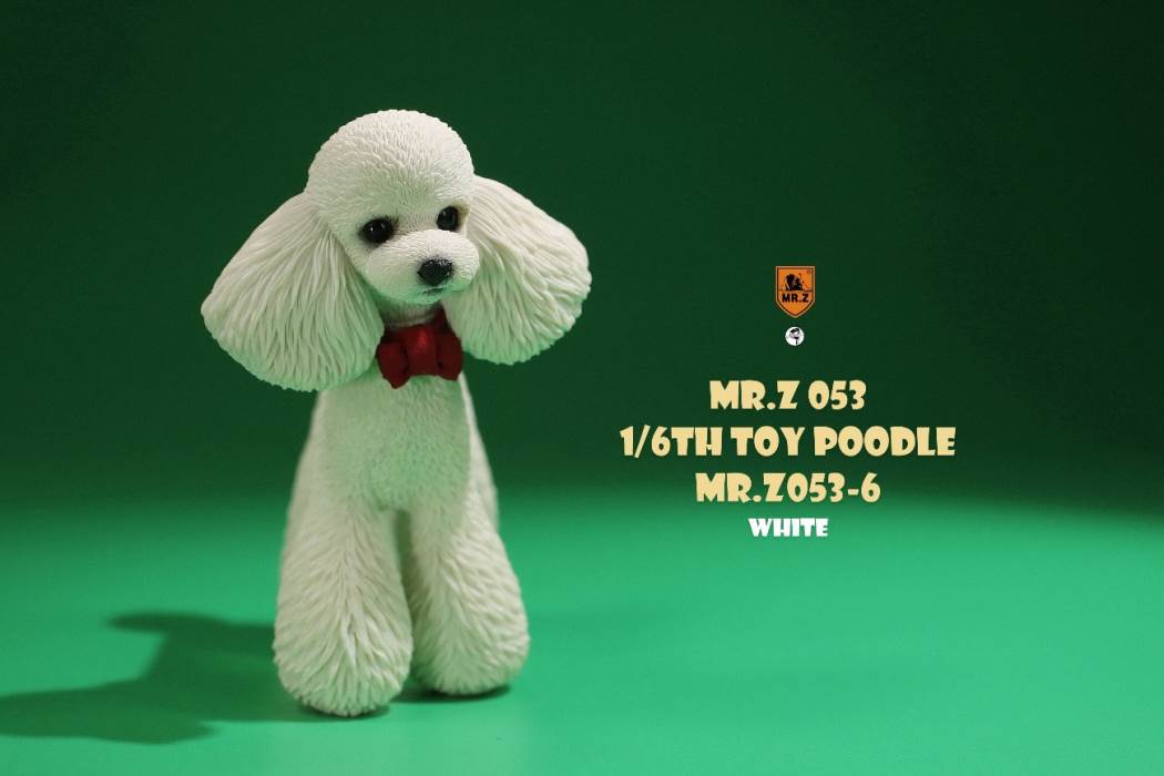 Animal Model NO. 53 ,Toy Poodle