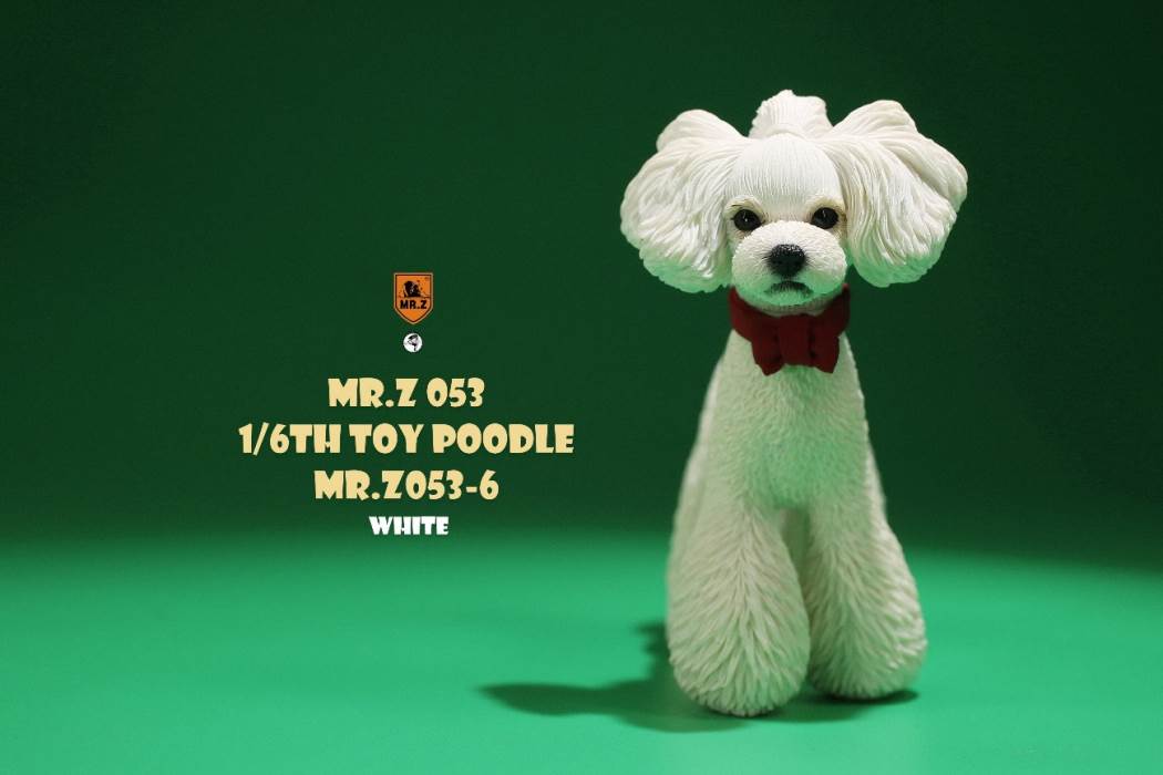 Animal Model NO. 53 ,Toy Poodle