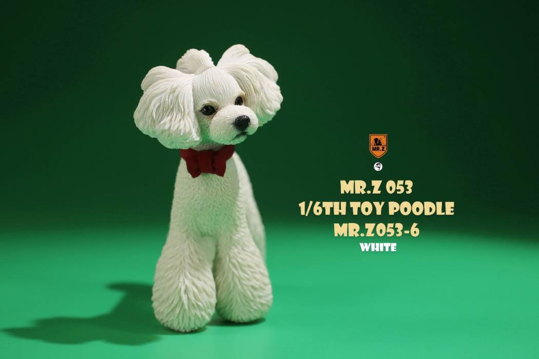 Animal Model NO. 53 ,Toy Poodle