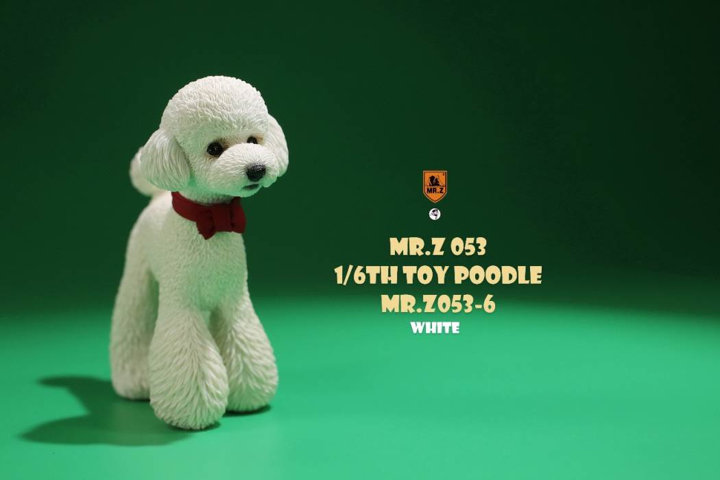 Animal Model NO. 53 ,Toy Poodle