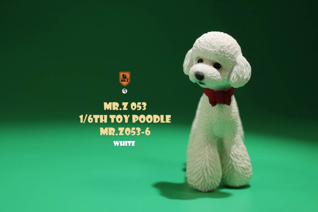 Animal Model NO. 53 ,Toy Poodle
