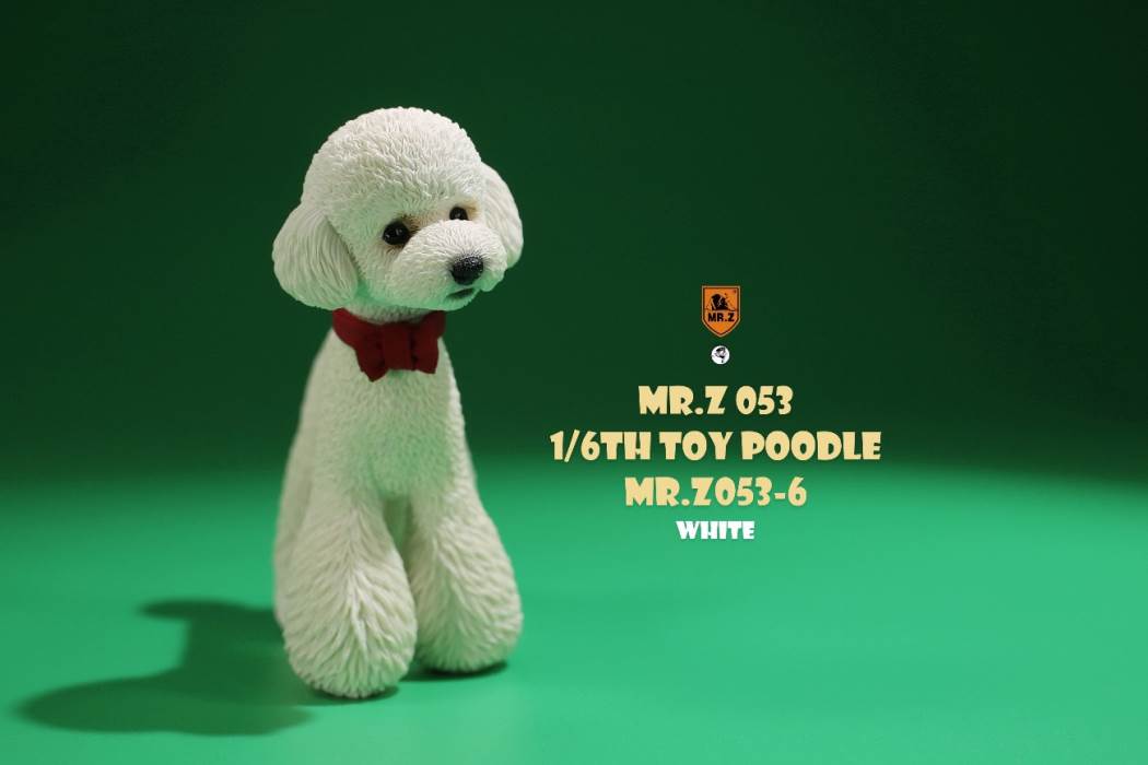 Animal Model NO. 53 ,Toy Poodle