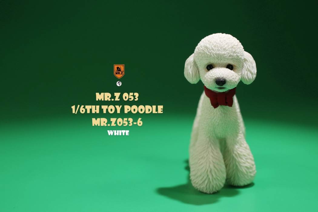 Animal Model NO. 53 ,Toy Poodle