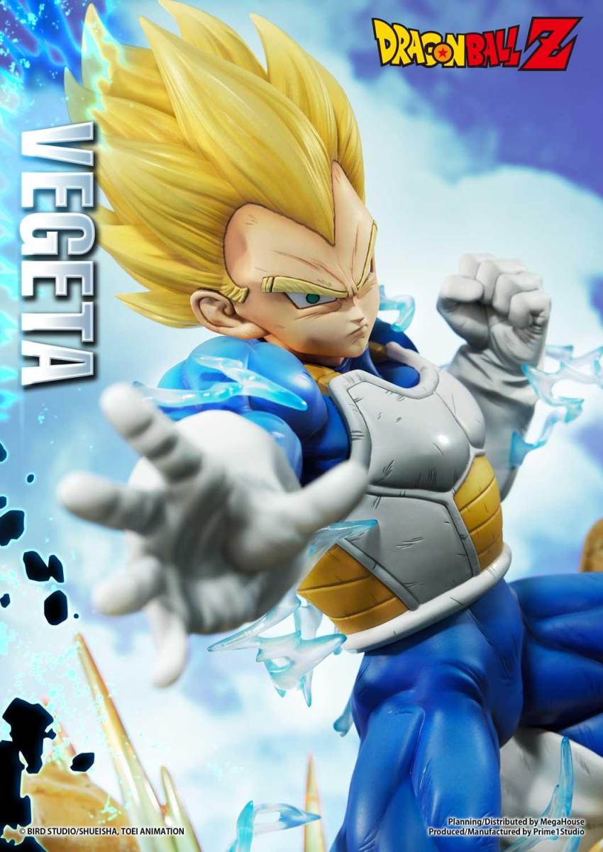 Dragon Ball Z Super Saiyan Vegeta