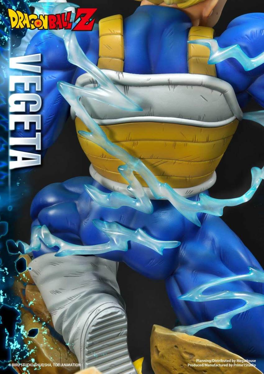 Dragon Ball Z Super Saiyan Vegeta