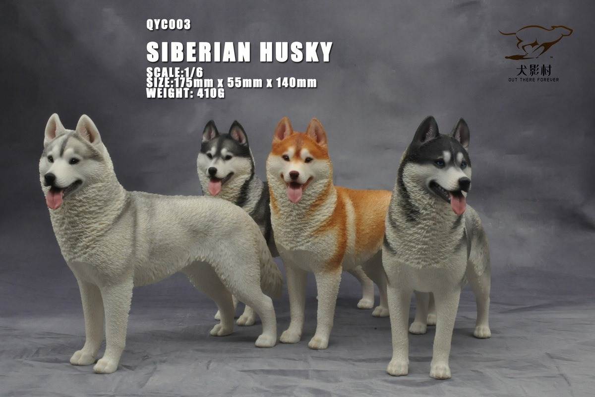 Husky 1/6 scale